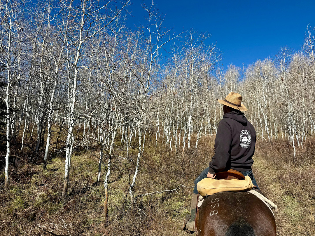 North Forty Escapes-Oakley必去景点