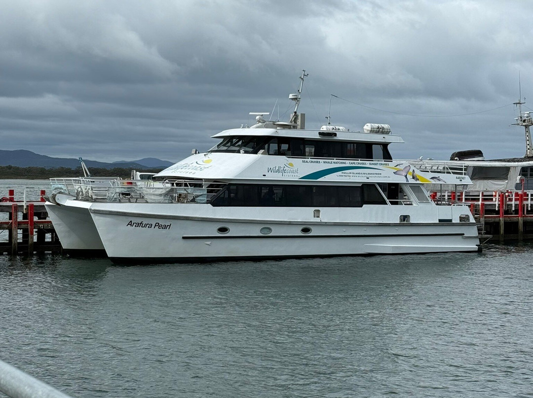 Wildlife Coast Cruises-考斯必去景点