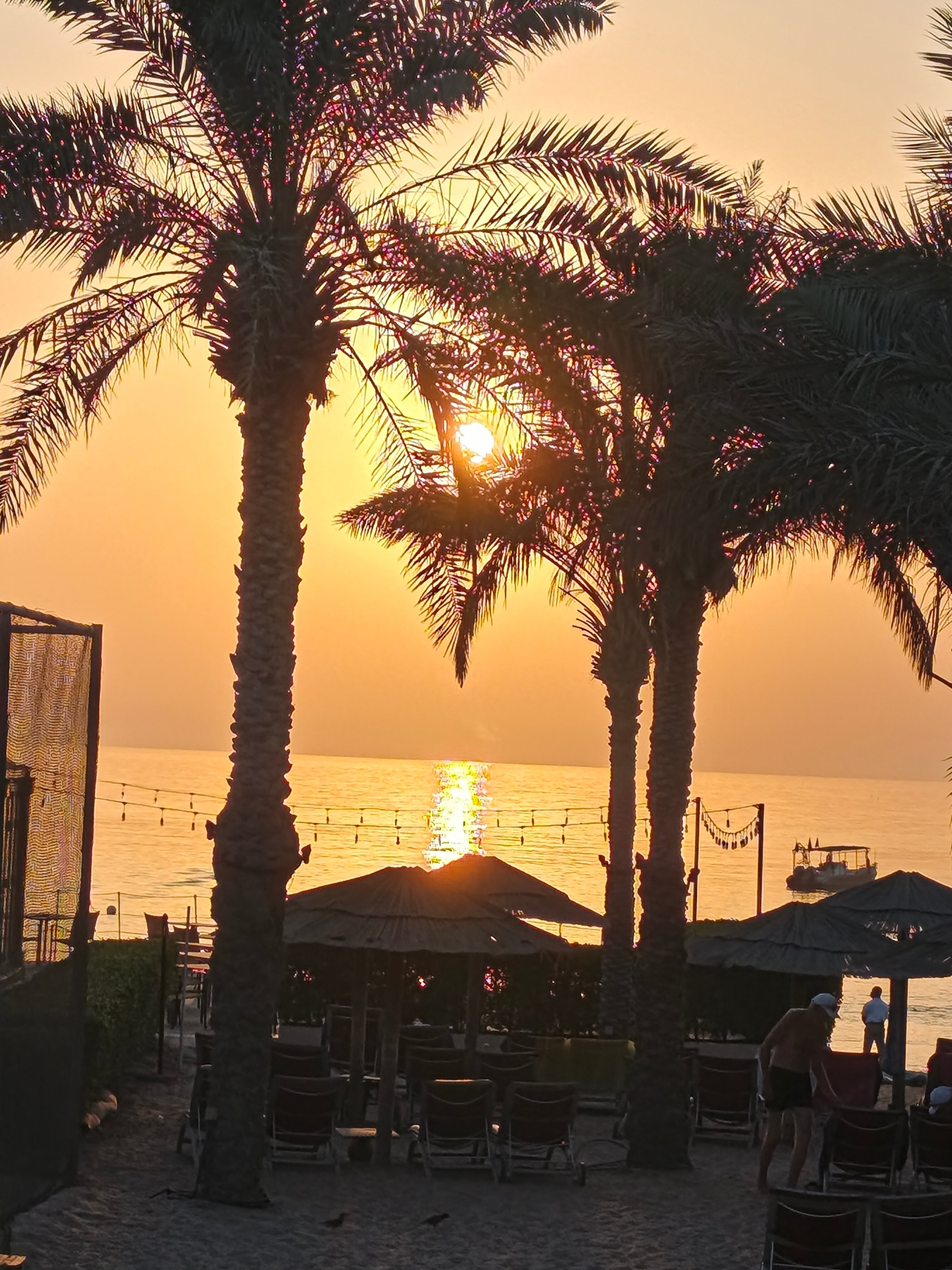 美丽华阿尔阿卡海滩度假村 - 富查伊拉-官方