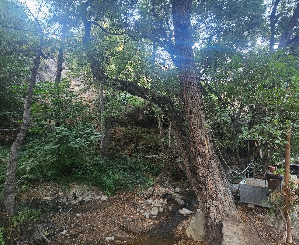 Marina's Adventure Park-卡科佩特里亚必去景点