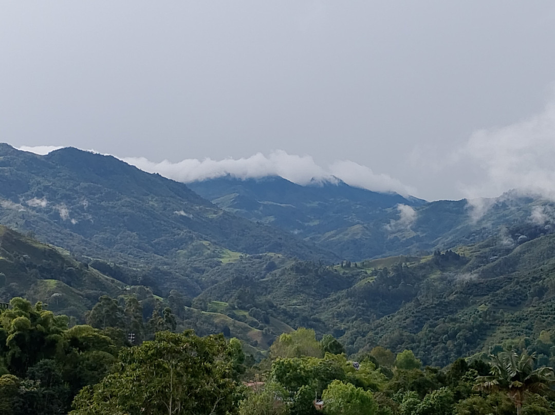 Cocora Trek Salento-萨伦托必去景点