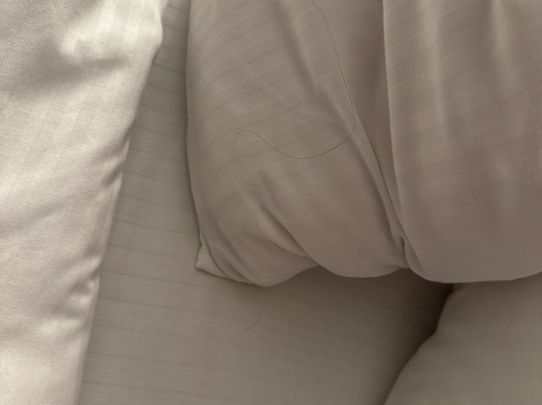 La Quinta Inn & Suites by Wyndham Orange County Airport主图