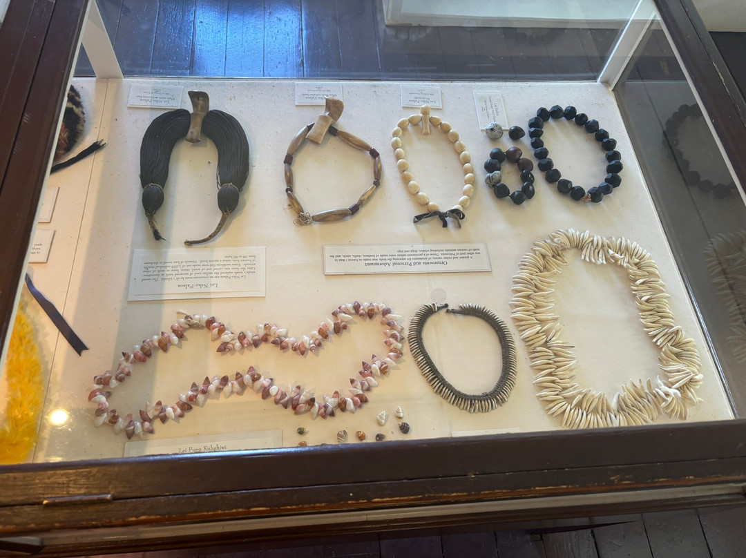 贝利之家博物馆-怀露库必去景点