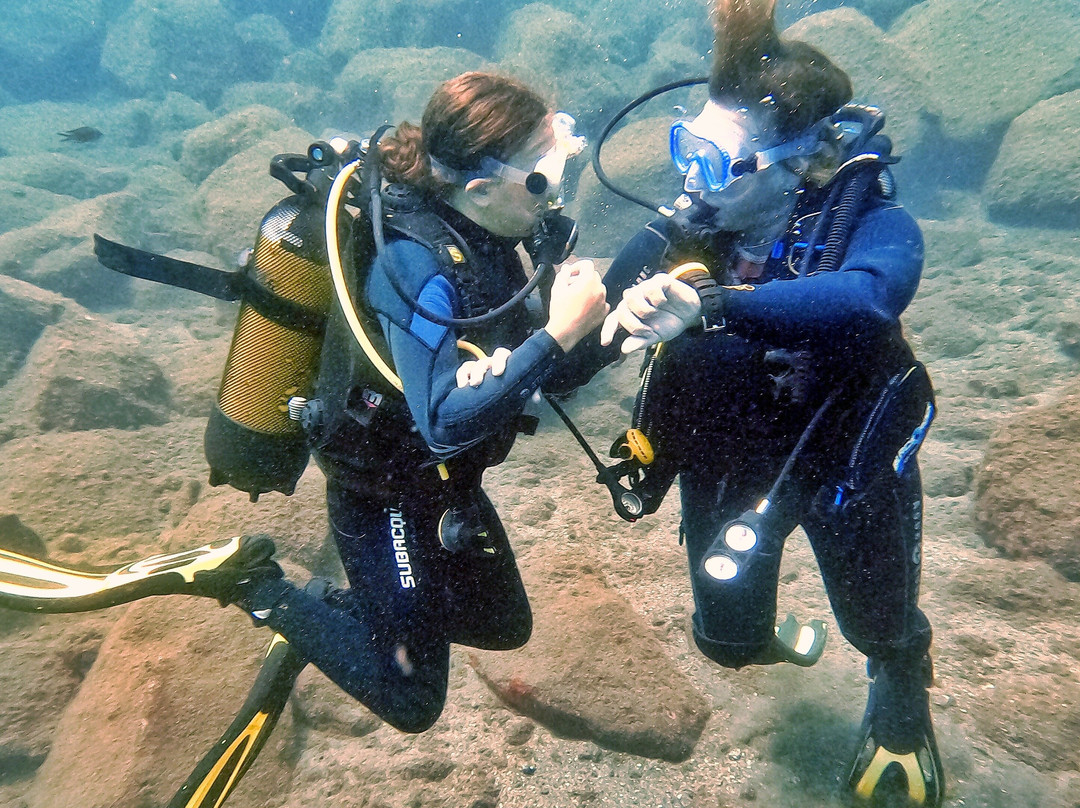 Tenerife Into The Blue - Dive In The Adventure-Abades必去景点