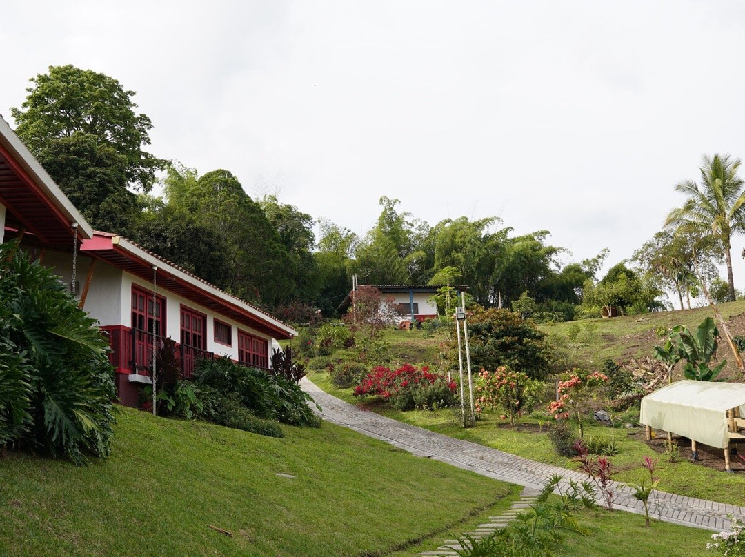 Finca Las Palmitas - Quindio-亚美尼亚必去景点