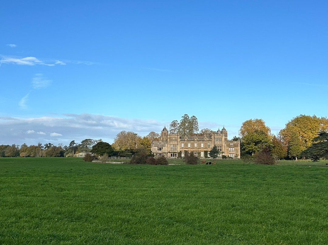 Baboon Adventures-马姆斯伯里必去景点