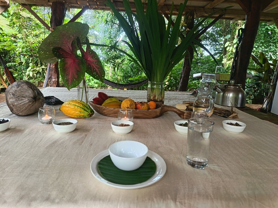 Ticoté Medicine Farm