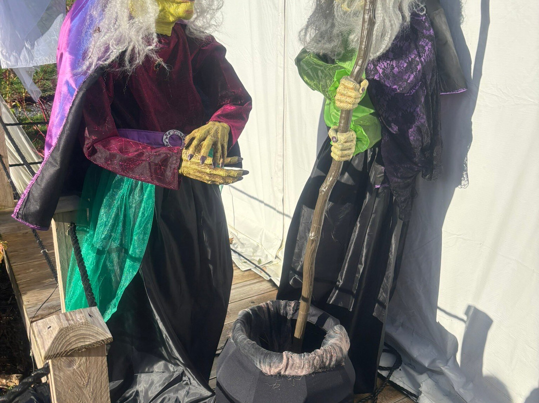 BallyBurren Outdoor Escapes-Ballynahinch必去景点