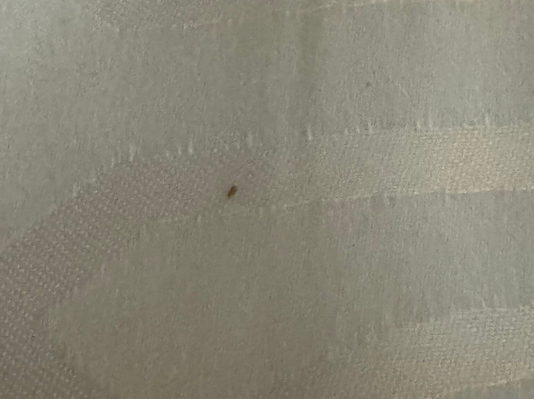 汉普顿酒店锡考克斯梅多兰兹主图