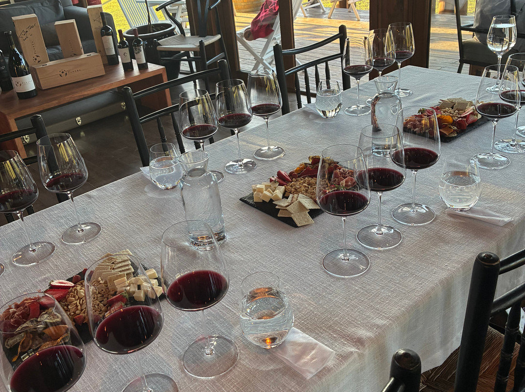 Viña Ventisquero - Mirador La Roblería-圣克鲁斯必去景点