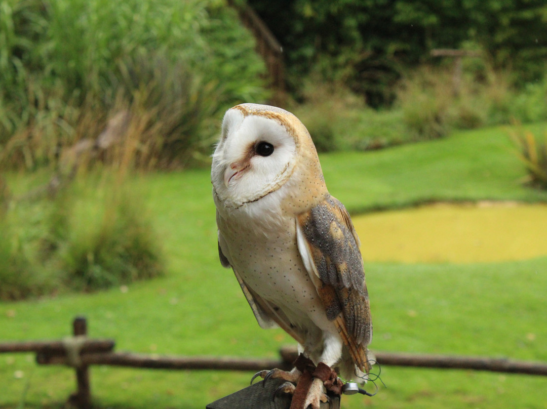 Zoo de La Fleche-La Fleche必去景点