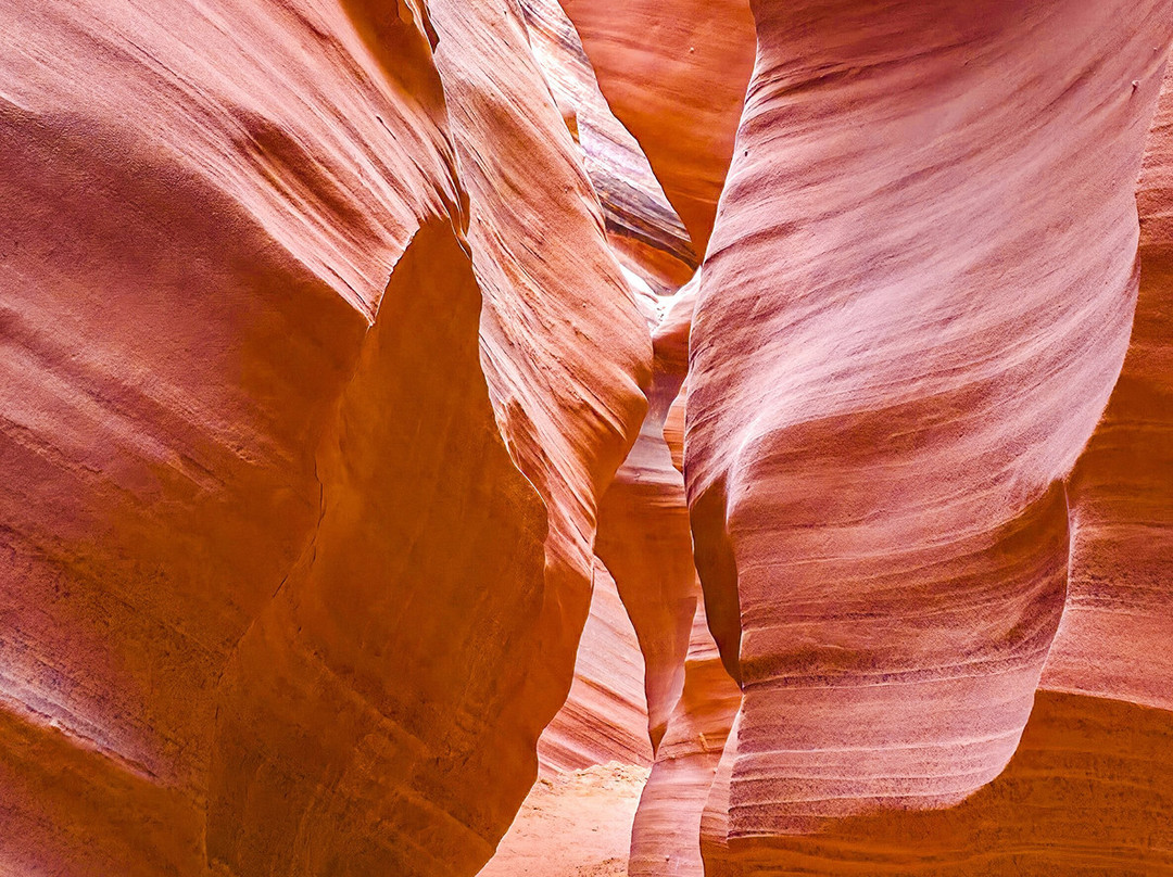 Black Streak Canyon Tours-佩吉必去景点
