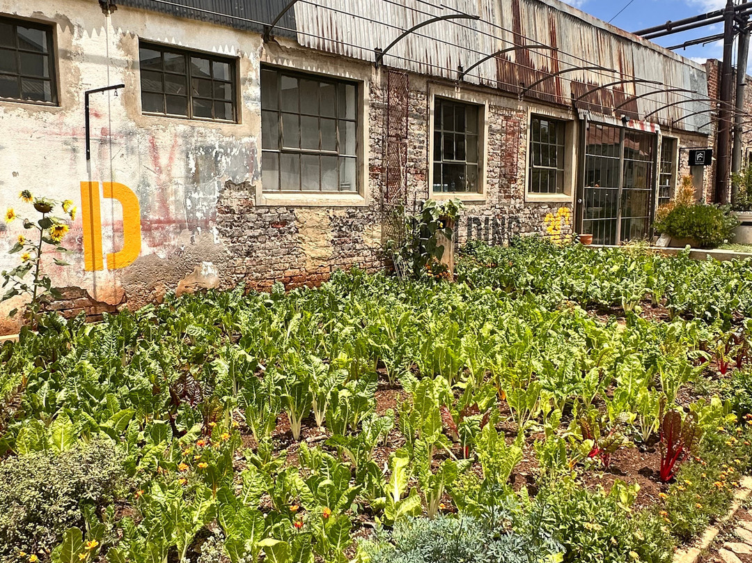 Victoria Yards-约翰内斯堡必去景点