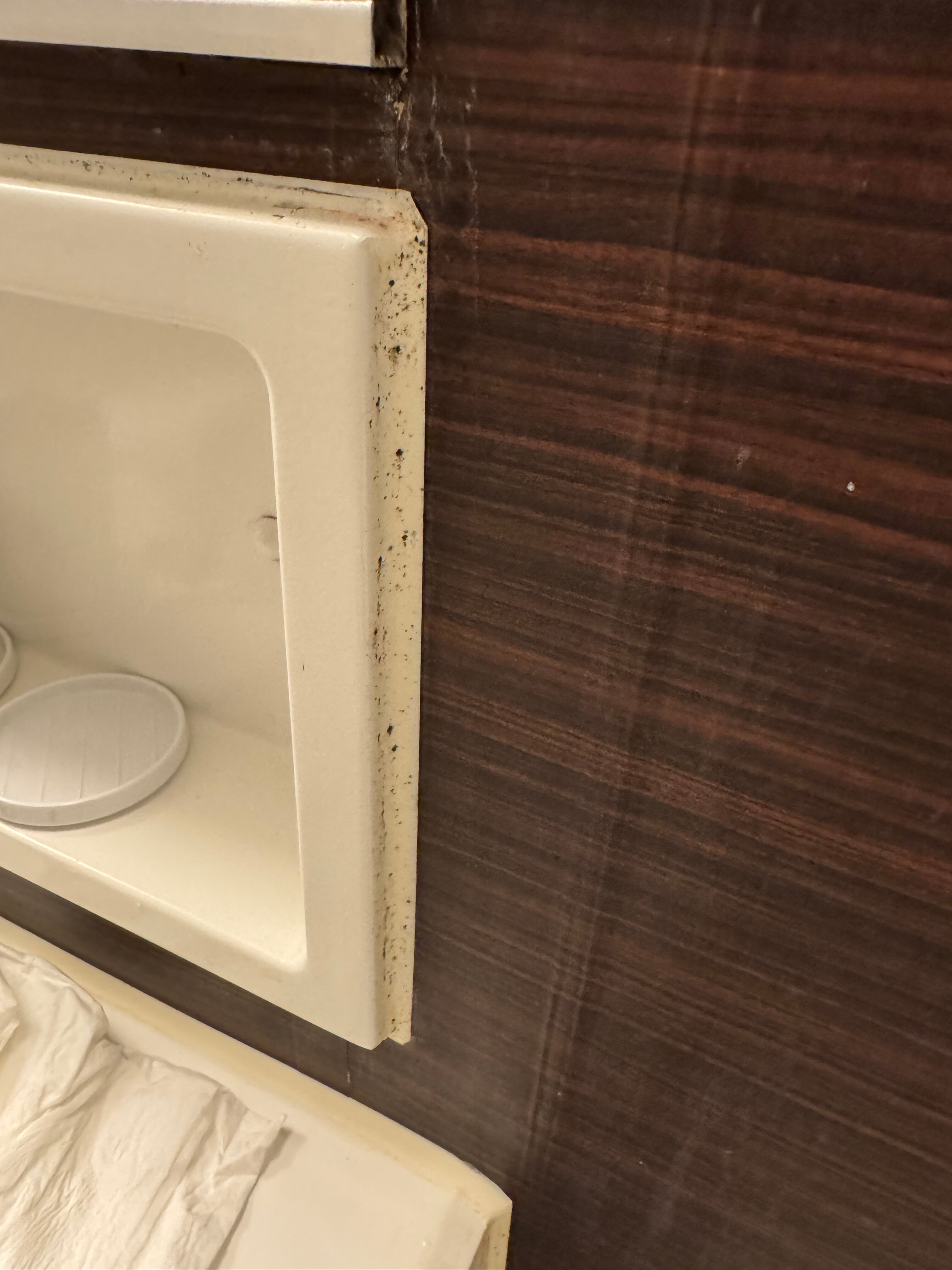 京都新阪急酒店-浴室