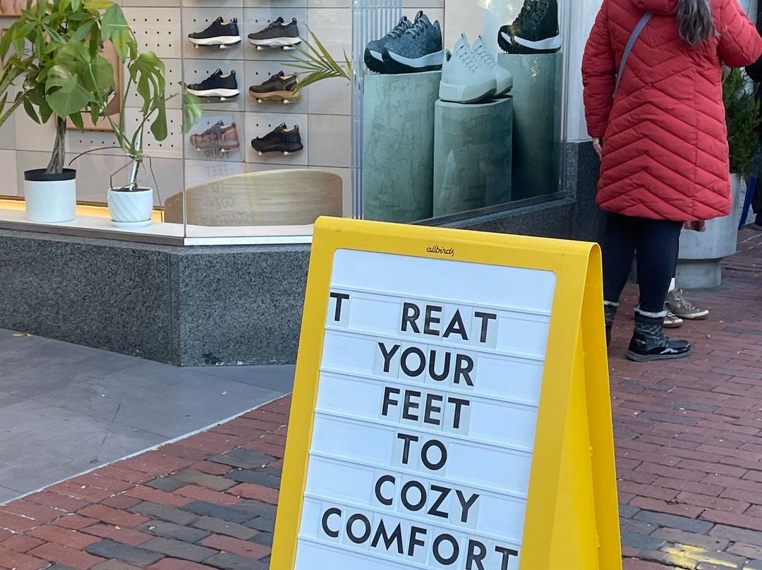 哈佛广场-剑桥必去景点