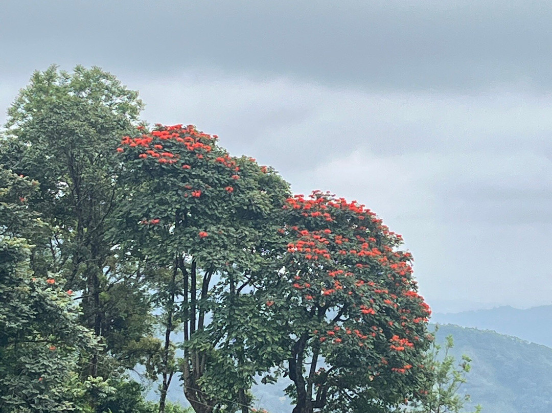 Munnar Info-慕那尔必去景点