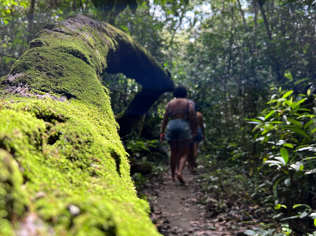 Museo Indigena Ancestral-Minca必去景点