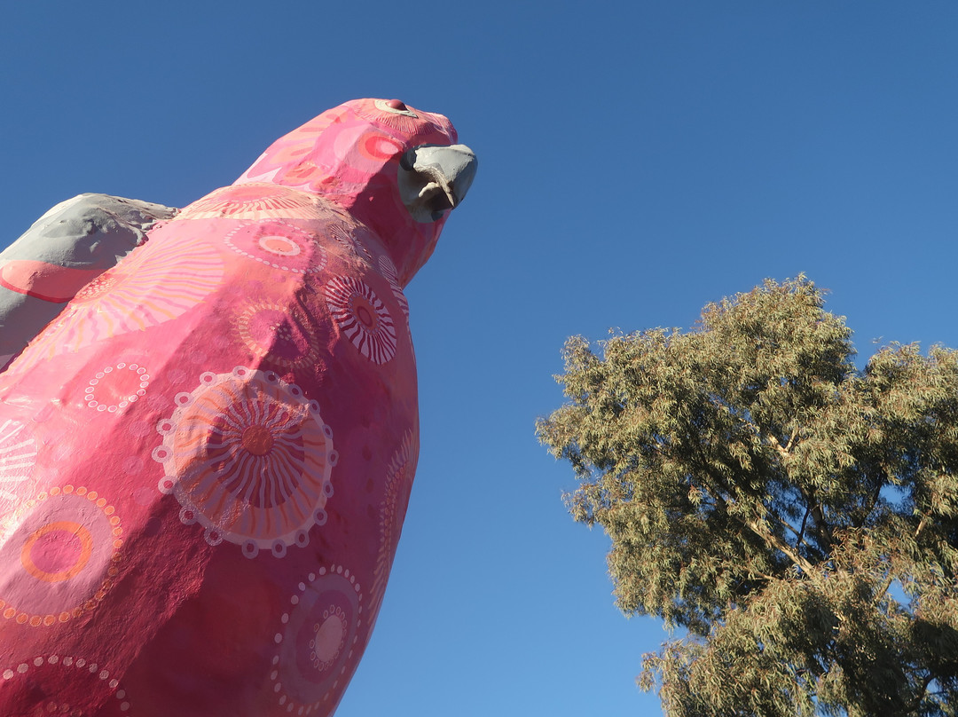 The Big Galah-Kimba必去景点