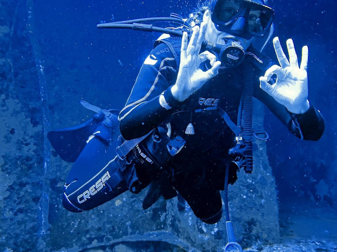 The Reef Marina-普拉亚德尔卡曼必去景点