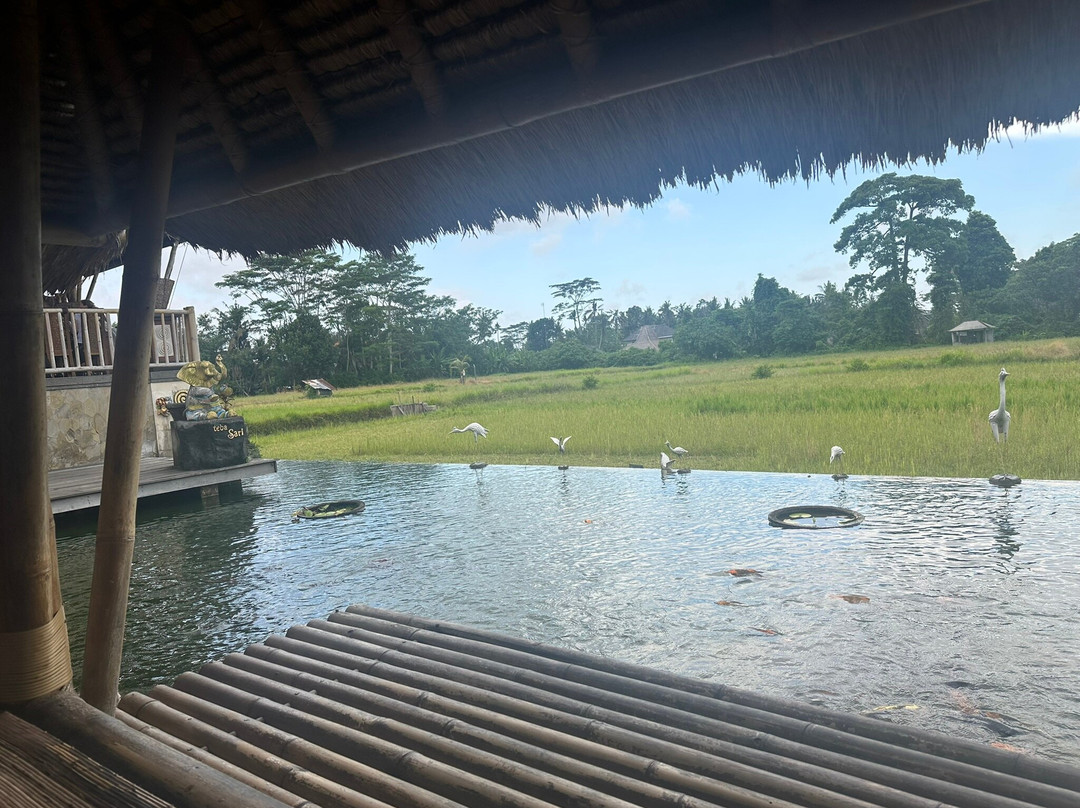 Deka Bali Travel-克隆孔必去景点