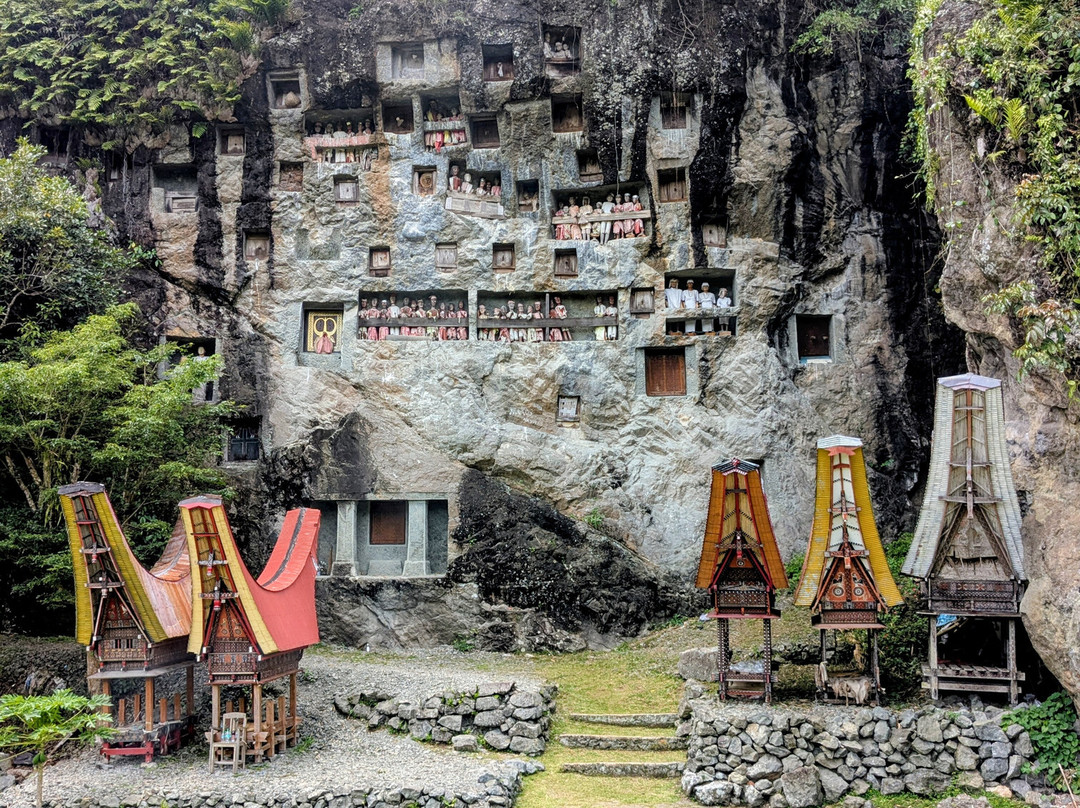 Toraja local guide-Tana Toraja必去景点