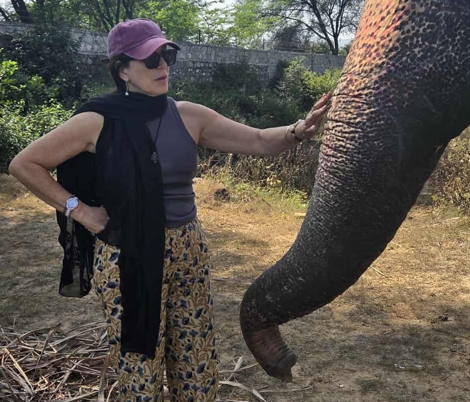 Elefanjoy Elephant Sanctuary-斋蒲尔必去景点