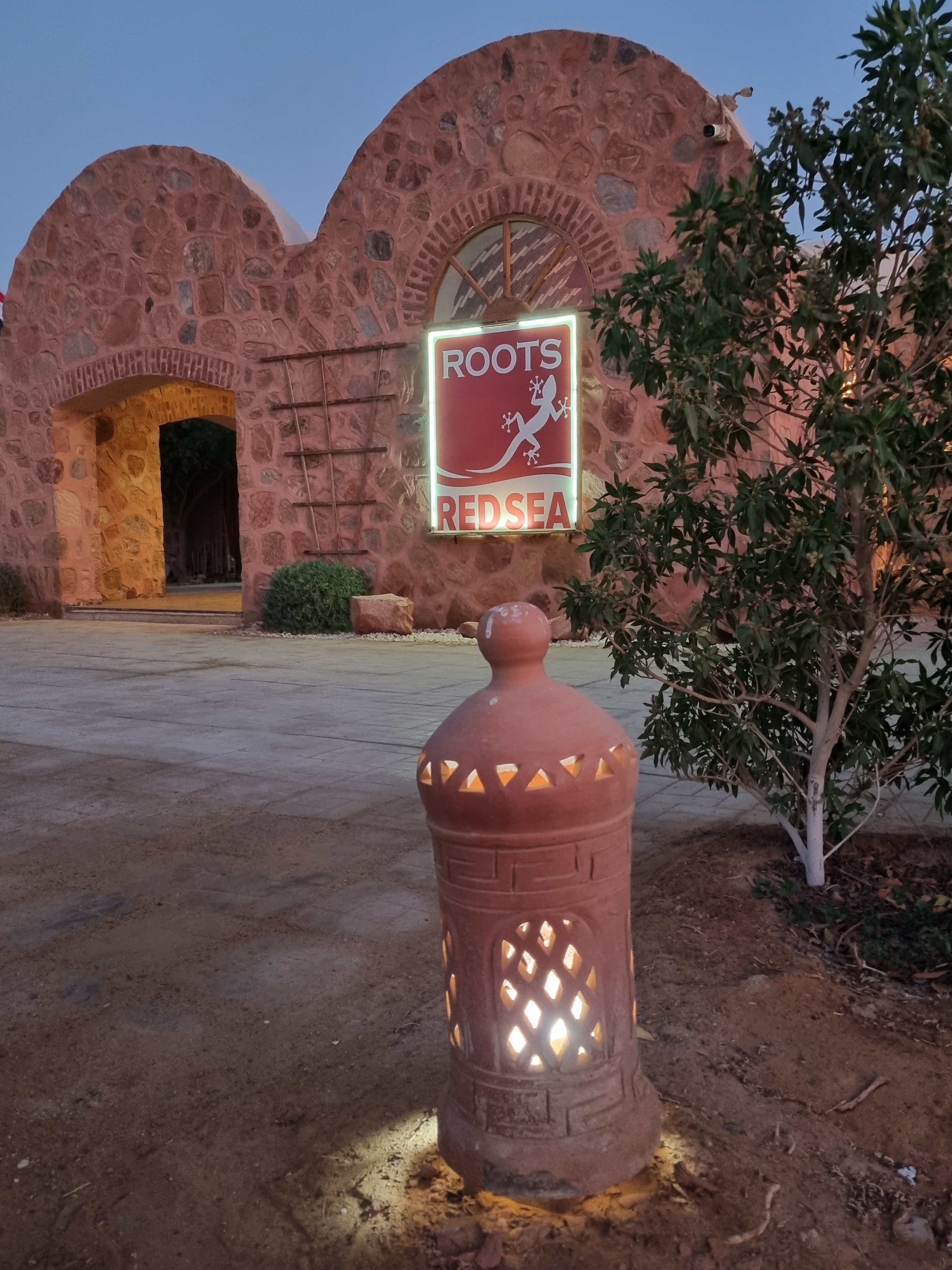 Roots Red Sea-官方