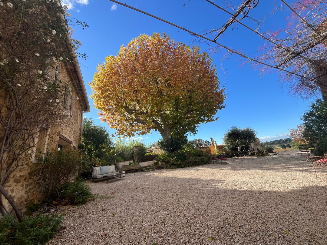 Le Clos Saint Saourde & SPA主图