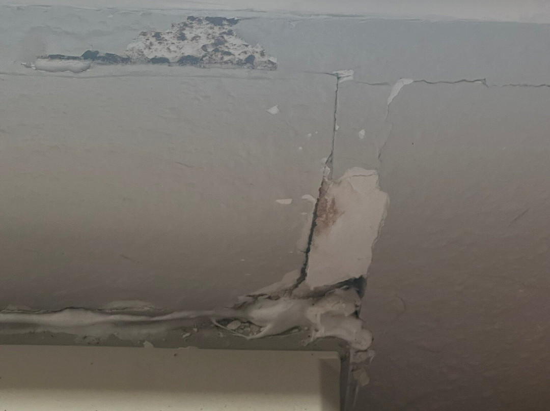 Baymont by Wyndham New Buffalo主图