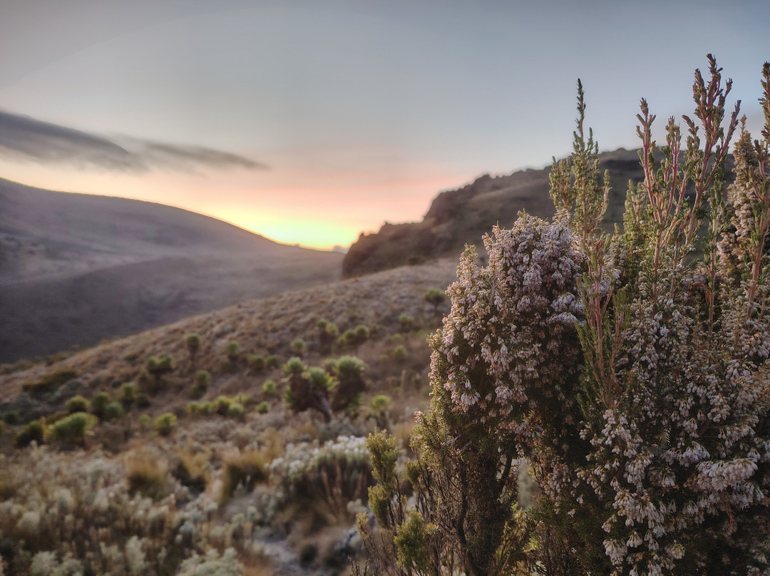 Mount Elgon Trekkers-Kapchorwa必去景点