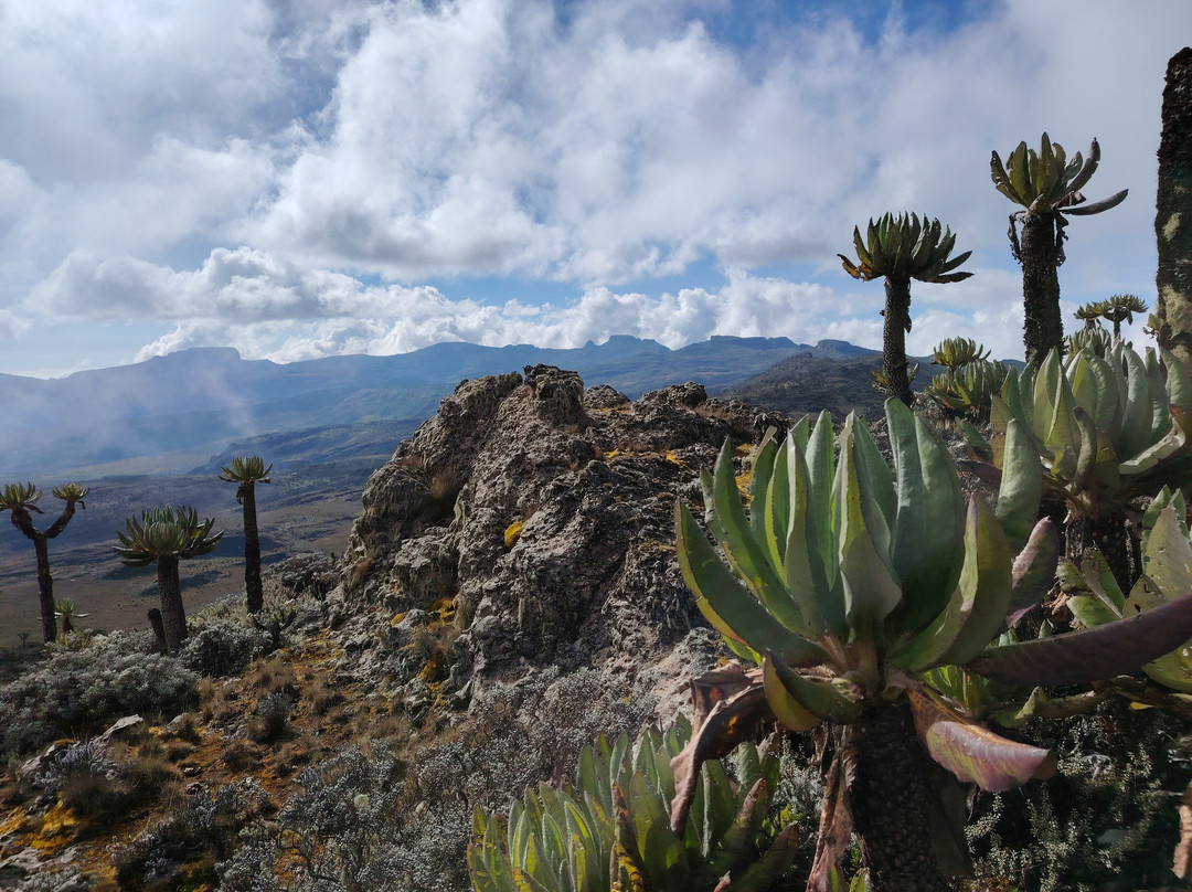Mount Elgon Trekkers-Kapchorwa必去景点