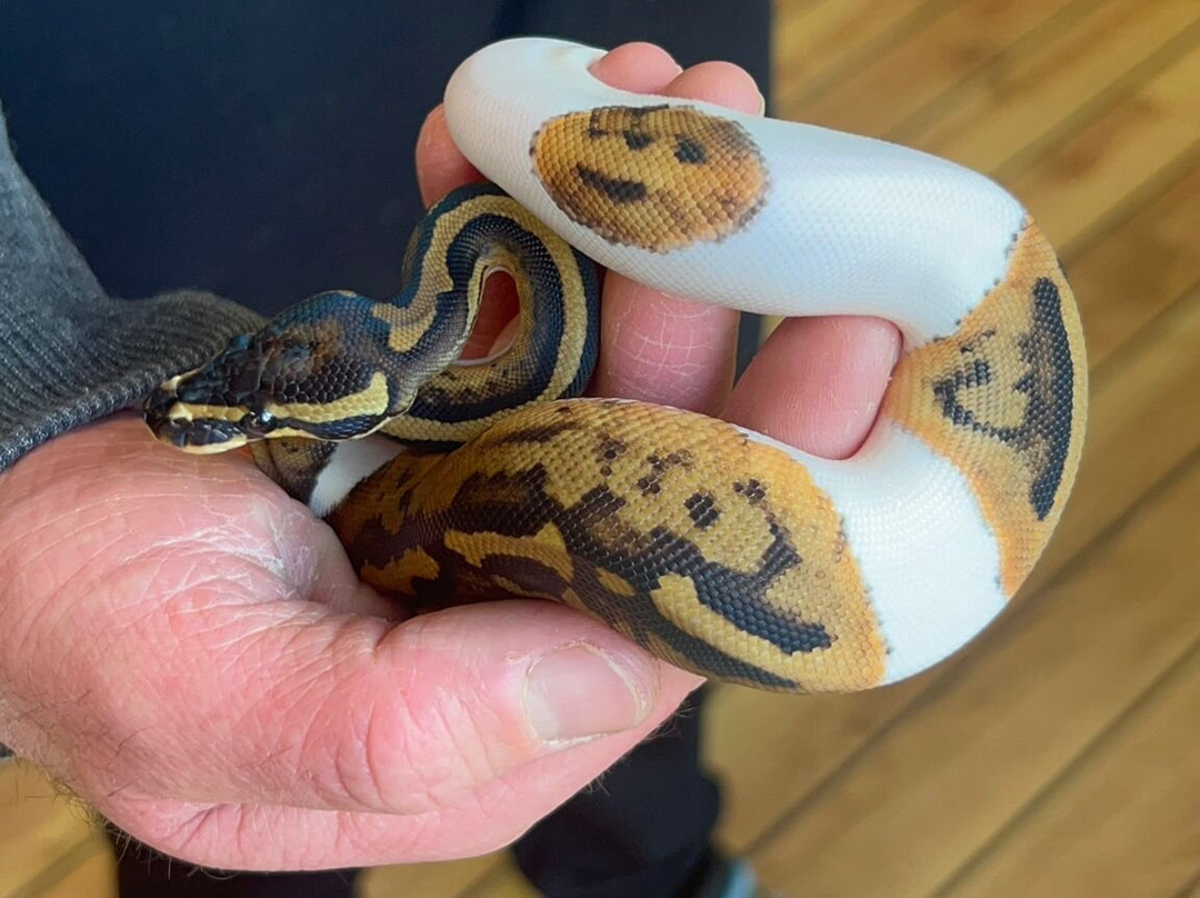 Really Wild Planet-比迪福德必去景点