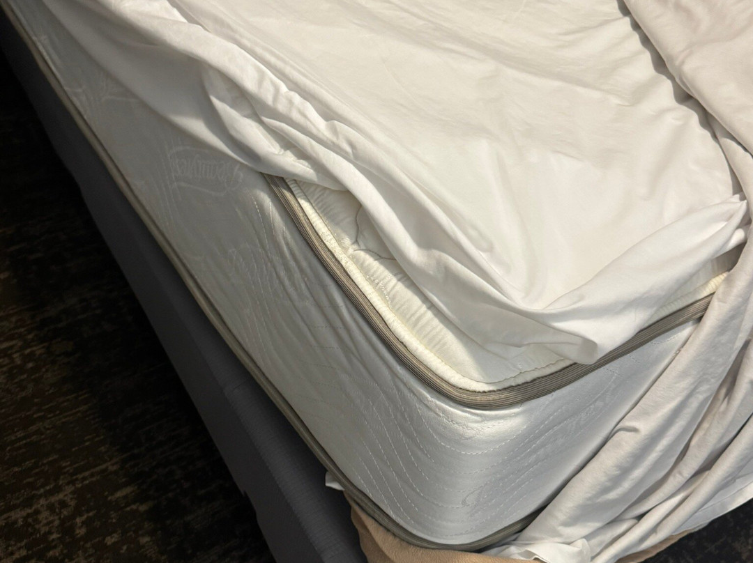 Best Western Rock Hill主图