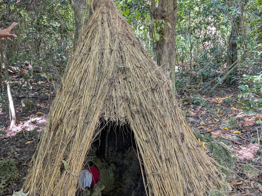 Kaya Kinondo Sacred Forest-迪亚尼必去景点