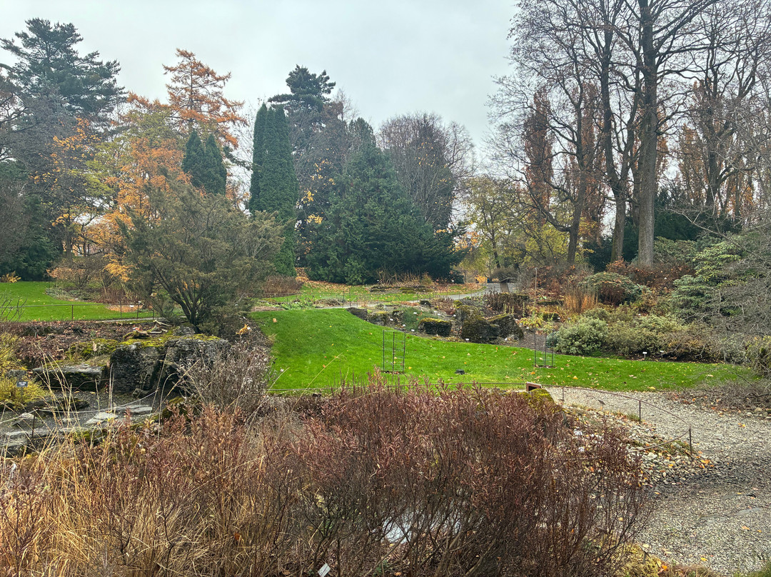 Botanical Garden-奥斯陆必去景点