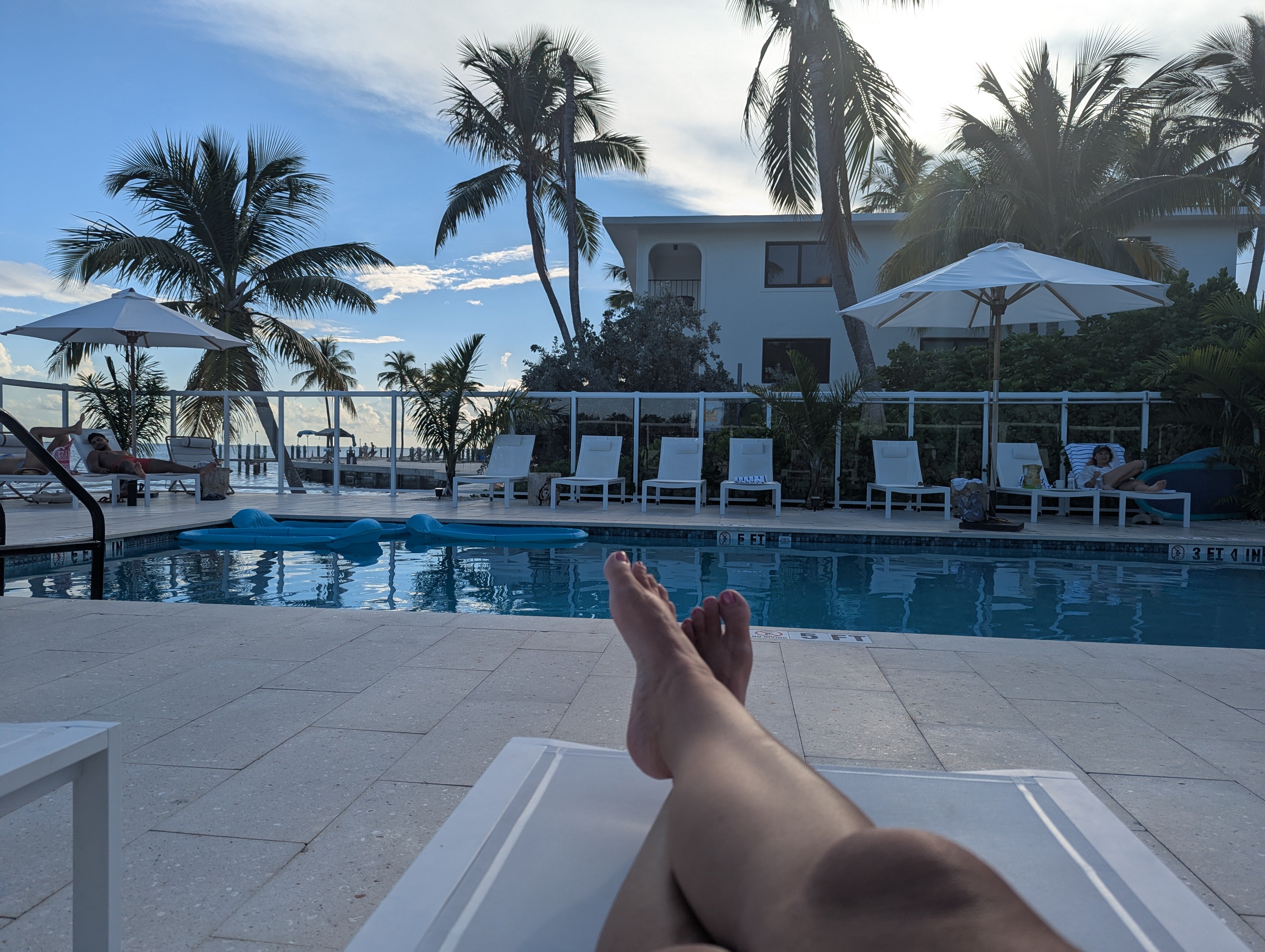 松树&棕榈树度假极度-泳池