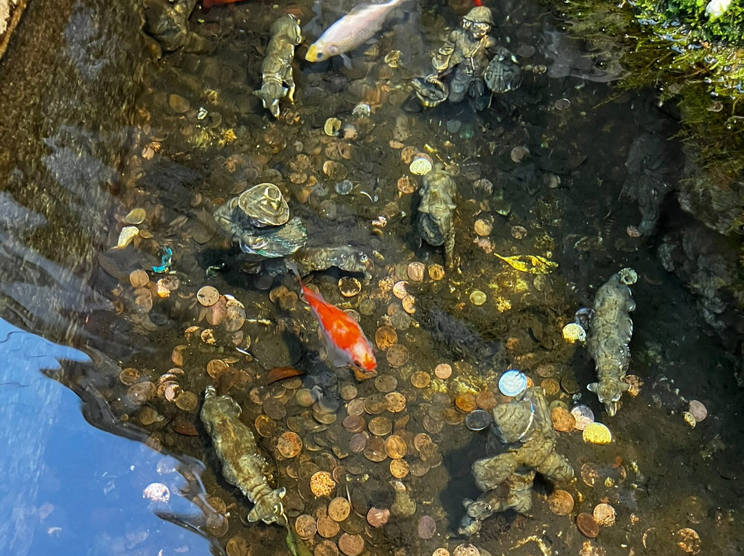 Fontana Cap è Ciuccio-阿马尔菲必去景点