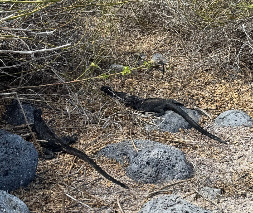 Ecuador Wonders Tour Operator-基多必去景点