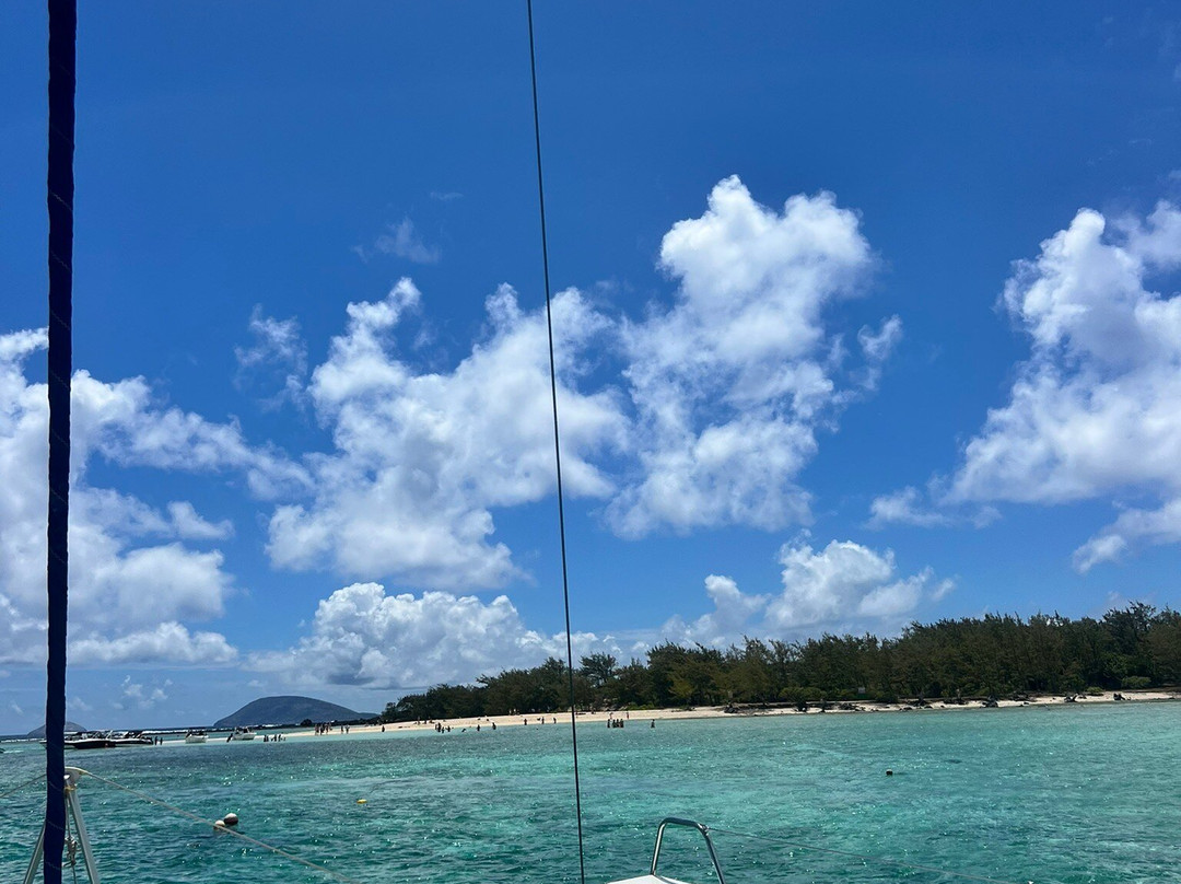 TOPCAT Cruises-大湾必去景点