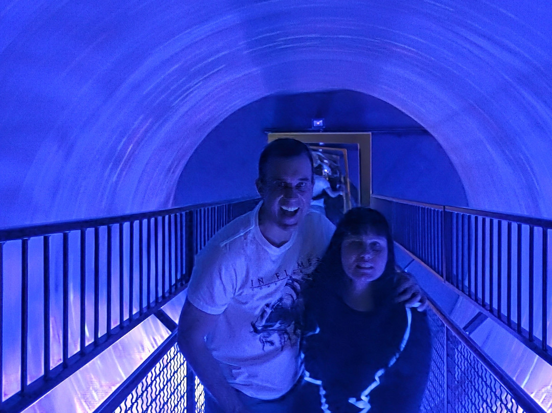 House of Illusions-卢布尔雅那必去景点