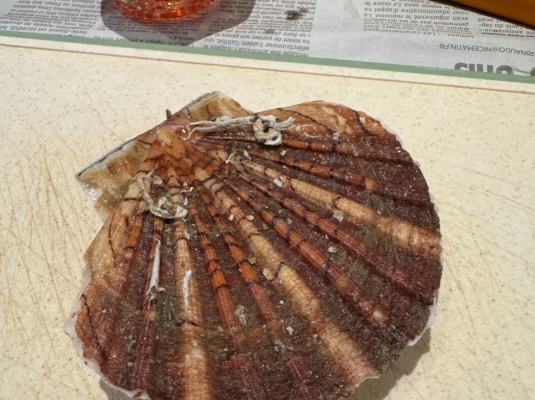 Les Petits Farcis-尼斯必去景点