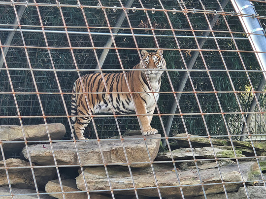 Hovatter's Wildlife Zoo-Kingwood必去景点