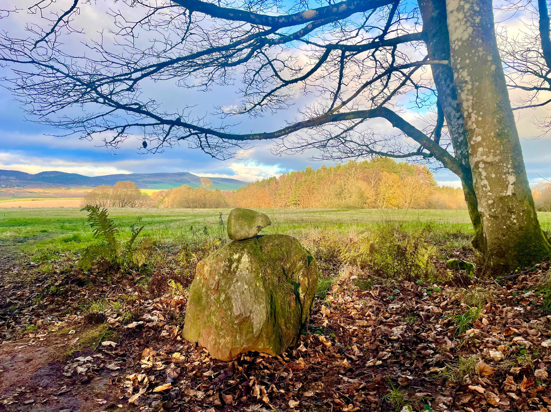 Templeton Woods-敦提必去景点