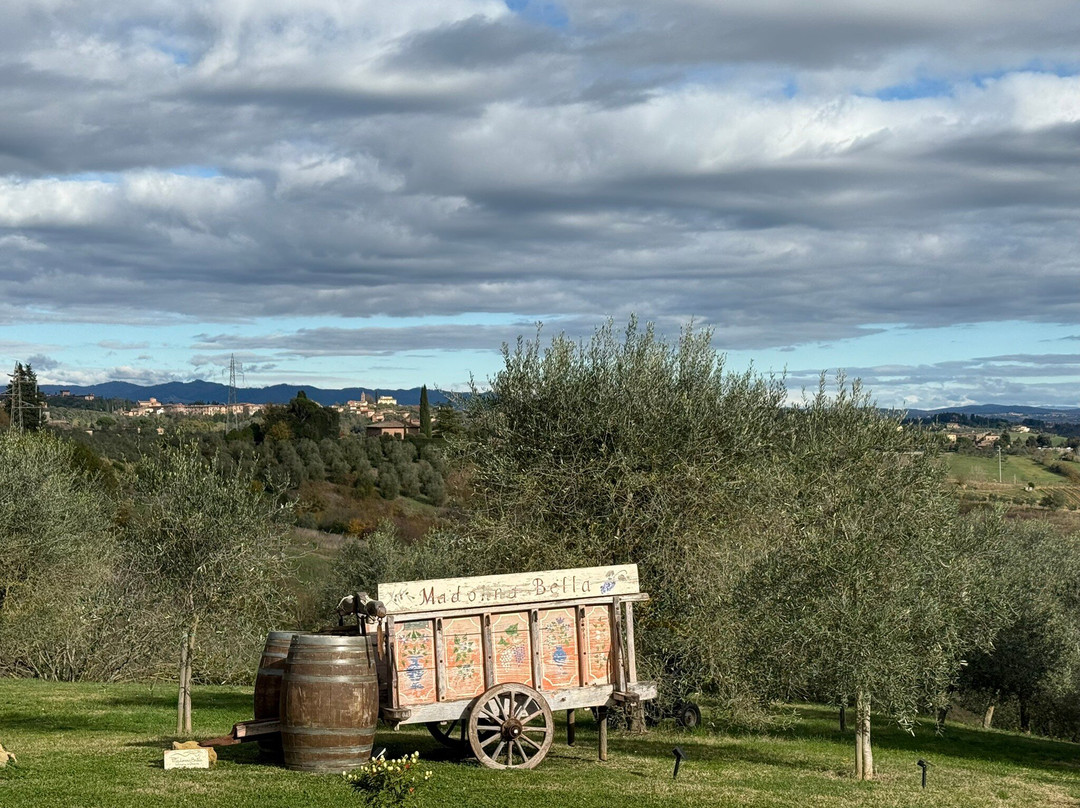 Madonnabella Winery & Wine Shop-锡耶纳必去景点