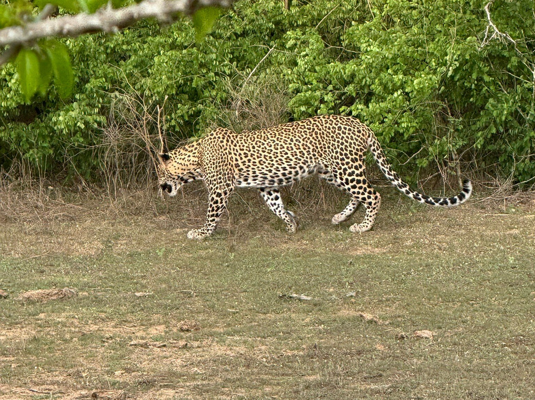 Lal Lanka Tours-Kaduwela必去景点