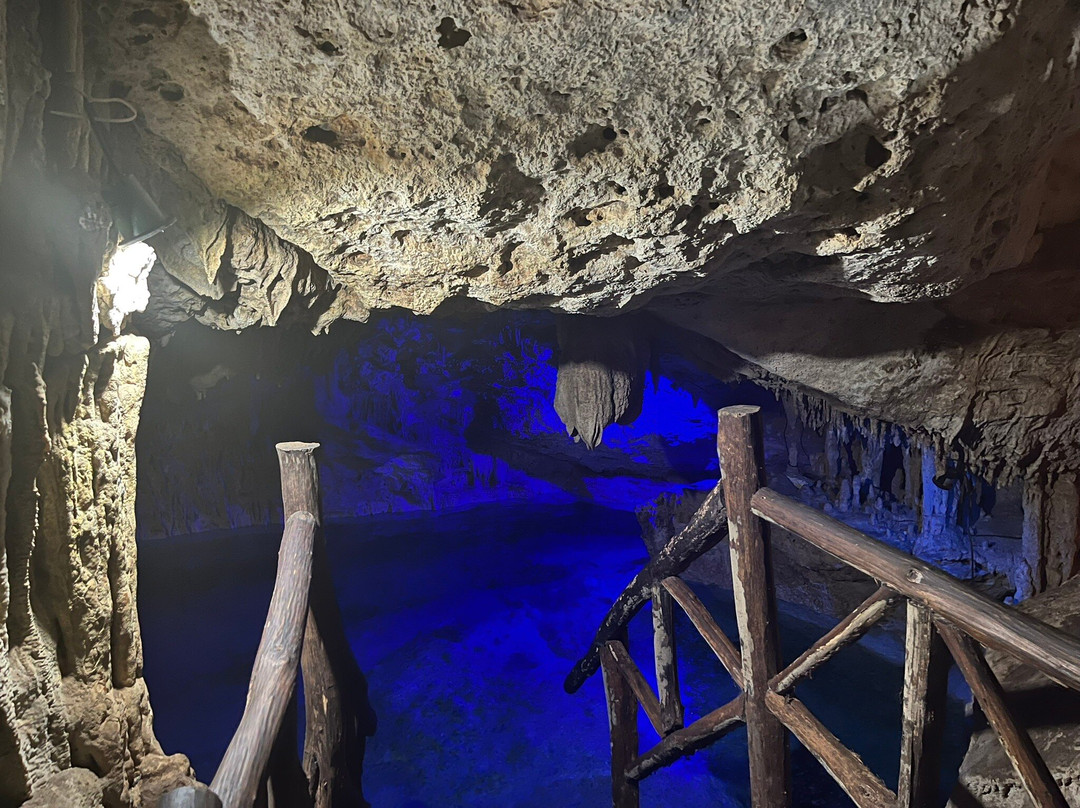 Akumal Monkey Sanctuary & Rescued Animals-艾库玛尔必去景点