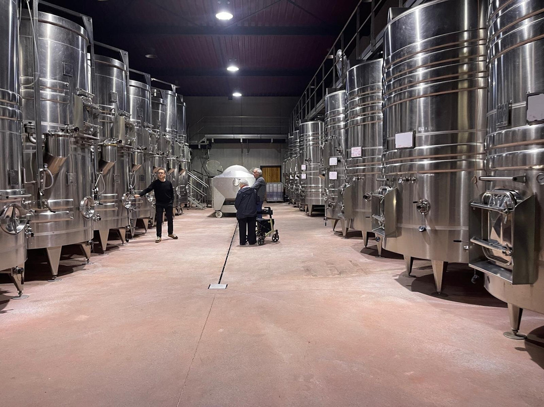 Cave De Château Castigno-Assignan必去景点