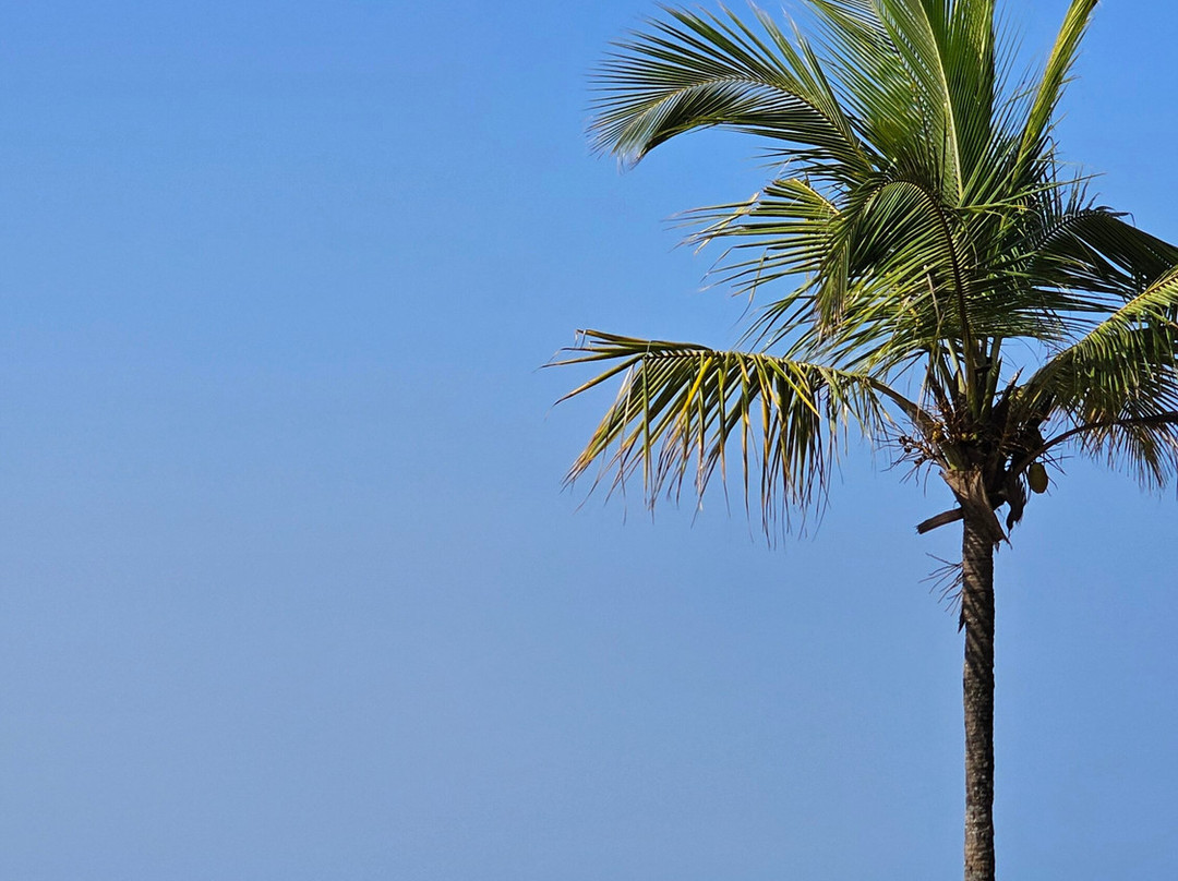 Mayfair On Sea主图