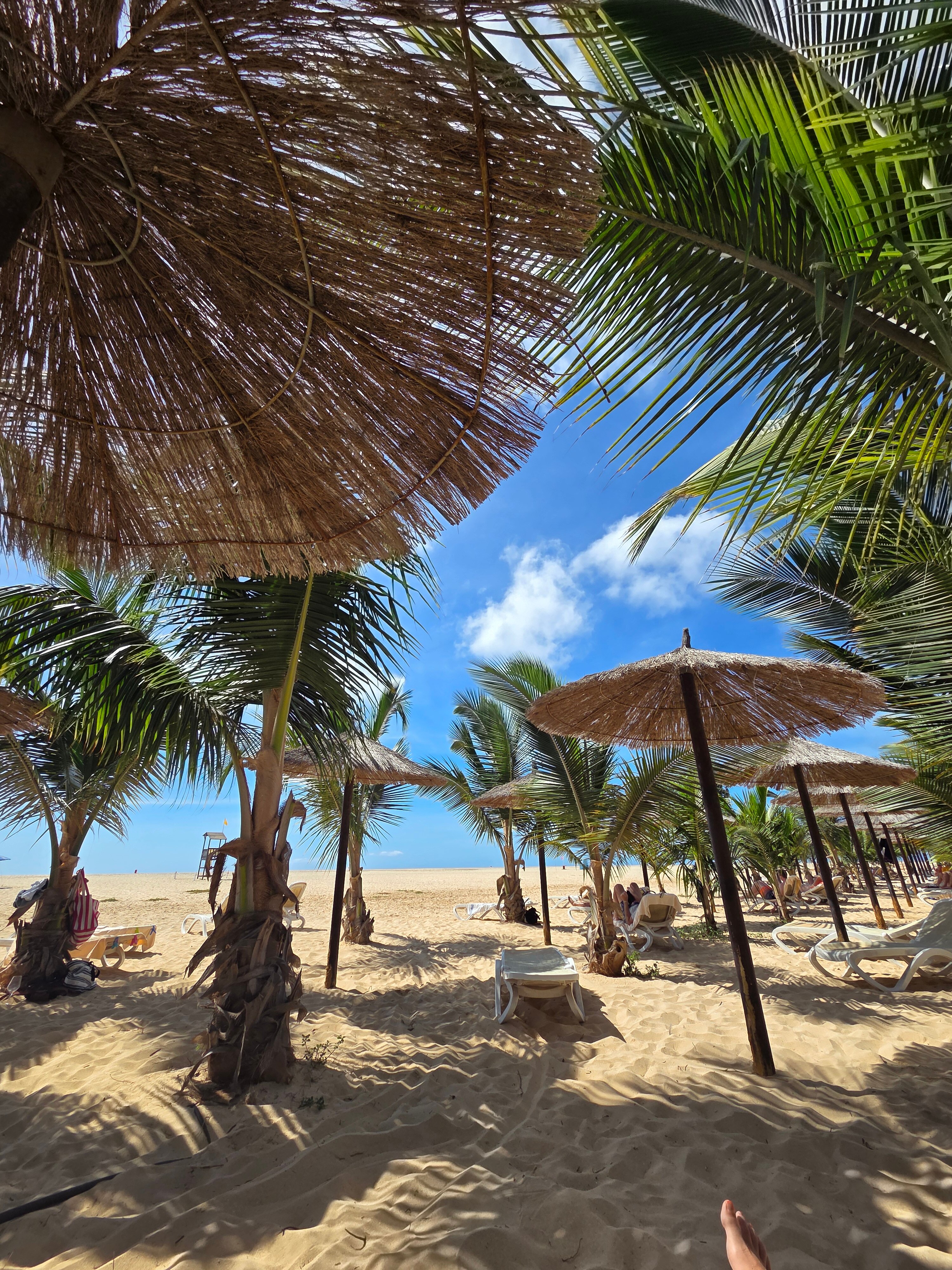 Hotel Riu Palace Santa Maria-泳池