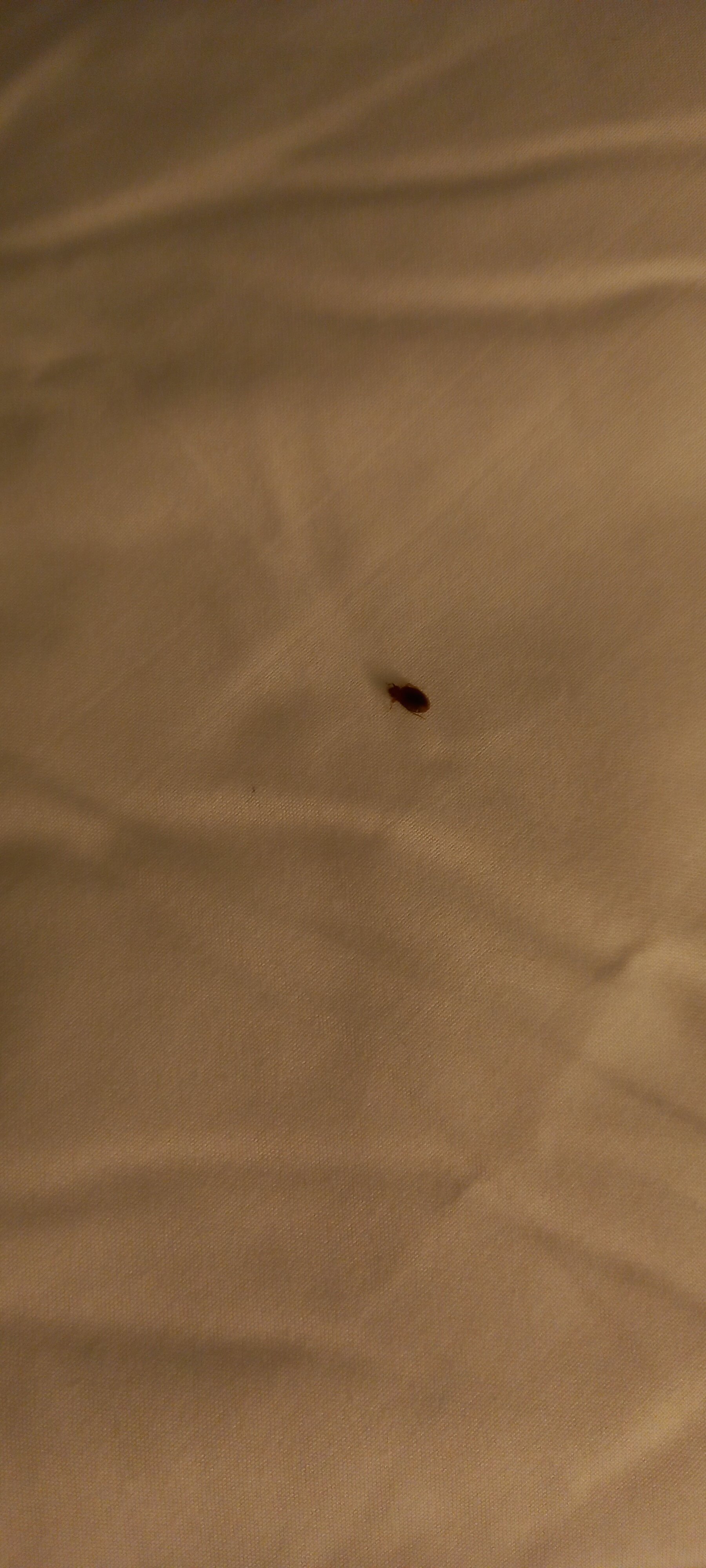 劳埃德拜亚酒店-官方